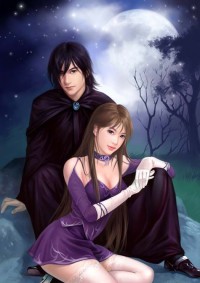 亂世狂婿